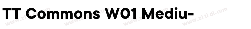 TT Commons W01 Mediu字体转换